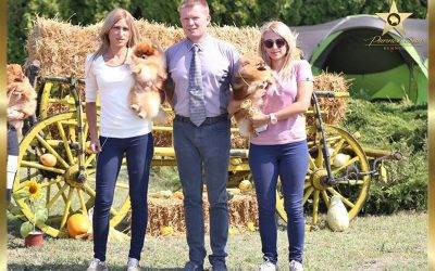 Specialty dog show V group & NDS Kac 10.09.2017